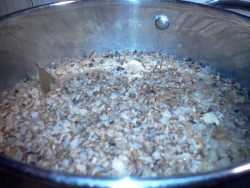 готовая гречневая каша