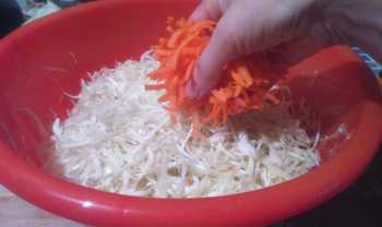 добавляем горсть моркови