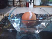 охлождаем яйца