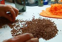 перебираем гречку