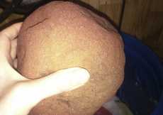 груз для капусты