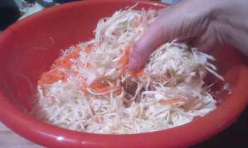 перемешиваем капусту и морковь