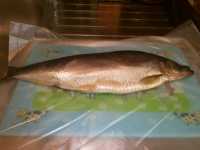 саленая сельдь для закуски