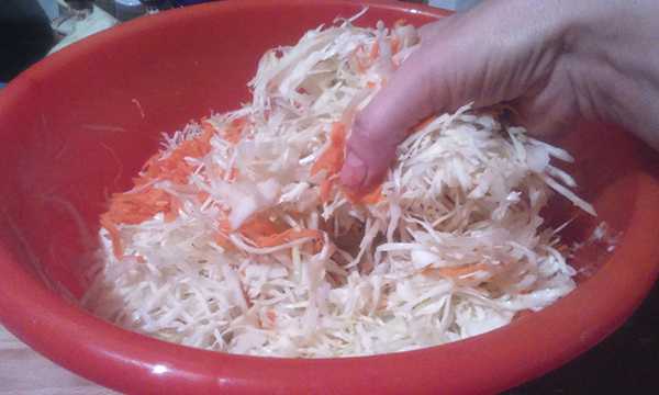 квашеная капуста на зиму