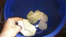 застилаем дно капустными листьями