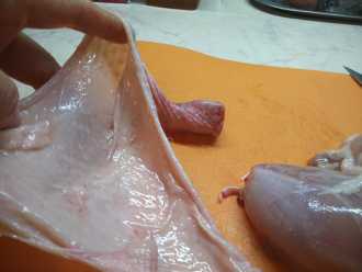 такая кожа пригодиться для фарширования